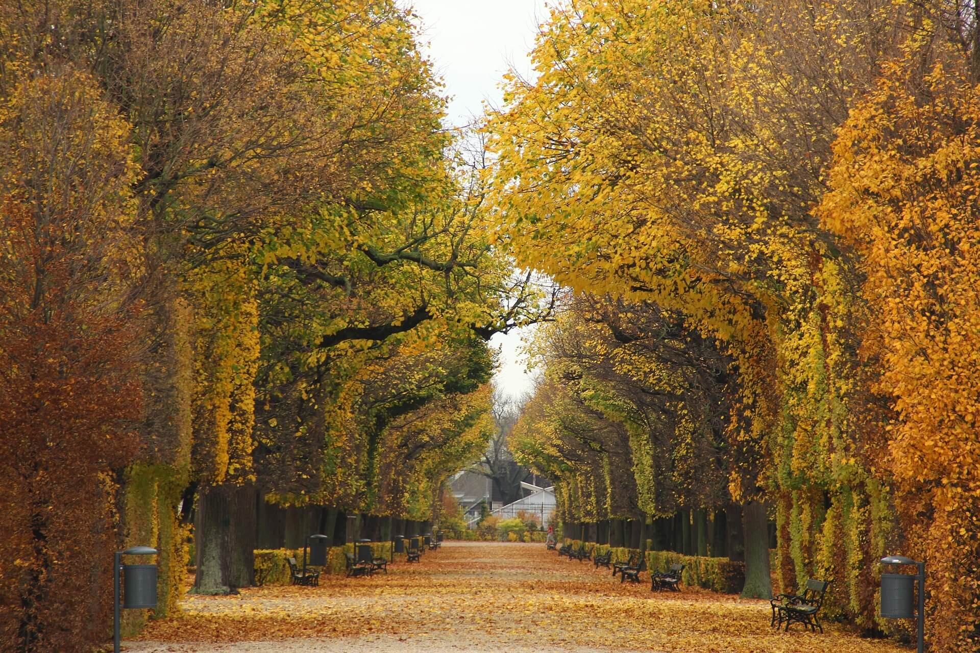 Vienna City Card oder Vienna Pass: Was lohnt sich 2026 wirklich?